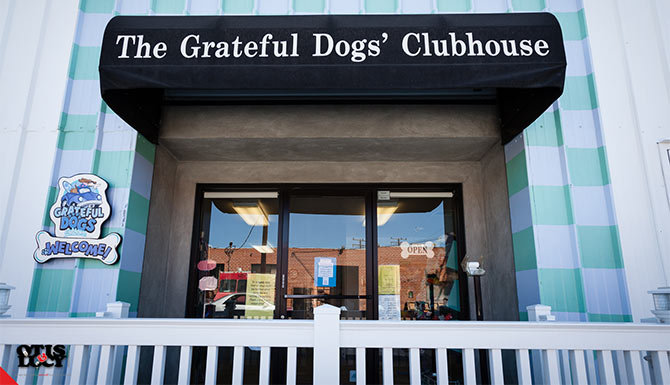 Grateful Dogs clubhouse South Bay entrance